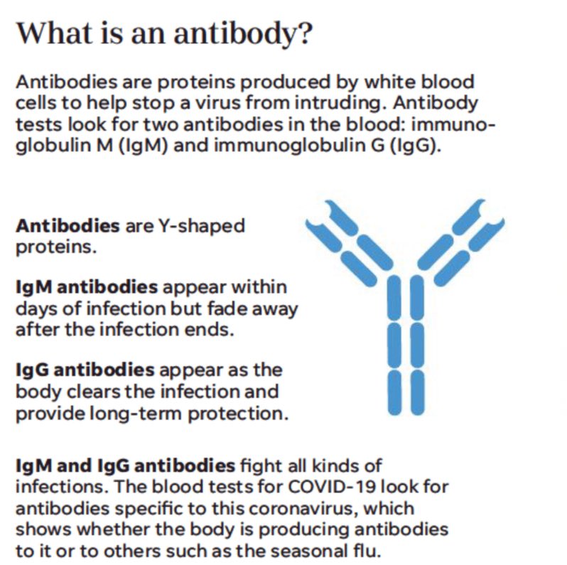 Immunology 101: Antibodies are part of our humoral immune system. We have initial responders (IgM) that are nonspecific and show up when something (virus/bacteria) doesn’t belong. IgG is the 2nd wave AND has the ability to learn & remember specific info about the invader.