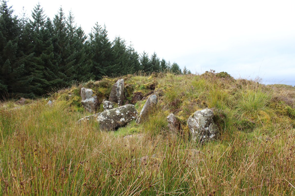 Telboy on Twitter "Lang Cairn, Dumbarton Muir, Chambered Tomb