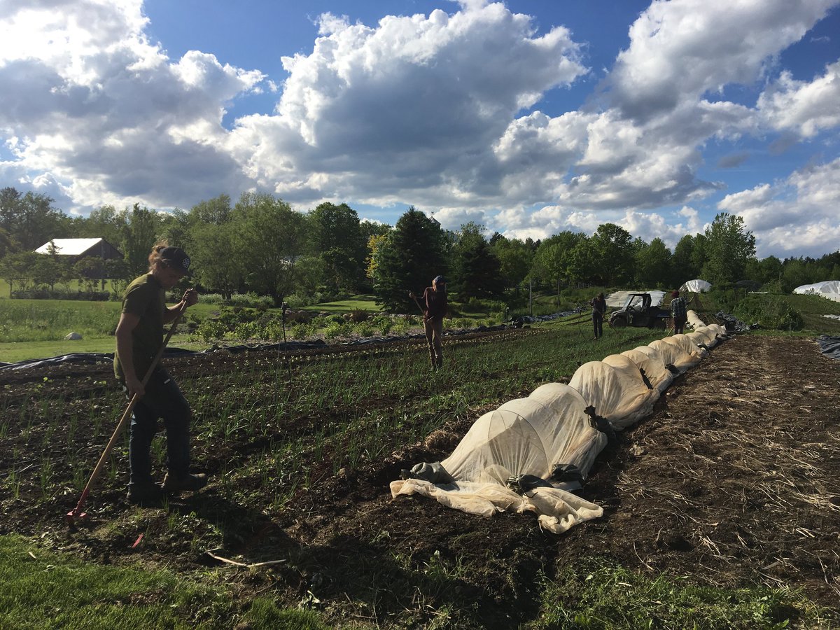 La crisis actual demuestra una cosa: la #agriculturaorgánica local es esencial. Ahora, más que nunca, los aprendices y agricultores experimentados necesitan alimentar a las comunidades con productos buenos, frescos y orgánicos 🍎🍓🥦🌶️