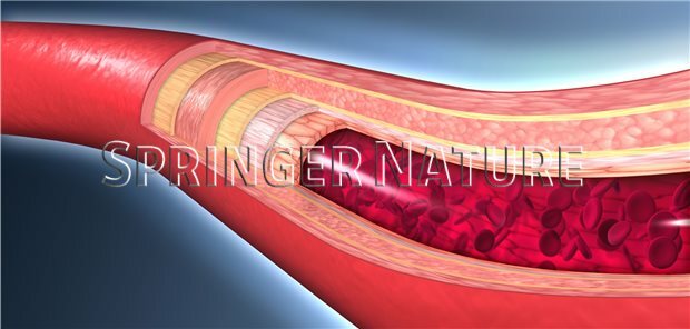 aerztezeitung's tweet photo. „COVID-19 ist auch eine systemische Gefäßentzündung“
Eine SARS-CoV-2-Infektion löst nicht nur eine Pneumonie, sondern offenbar auch eine Endotheliitis in verschiedenen Organen aus – mit fatalen Folgen.
https://t.co/tH31Nk7GRF https://t.co/i3U6ee2Kay