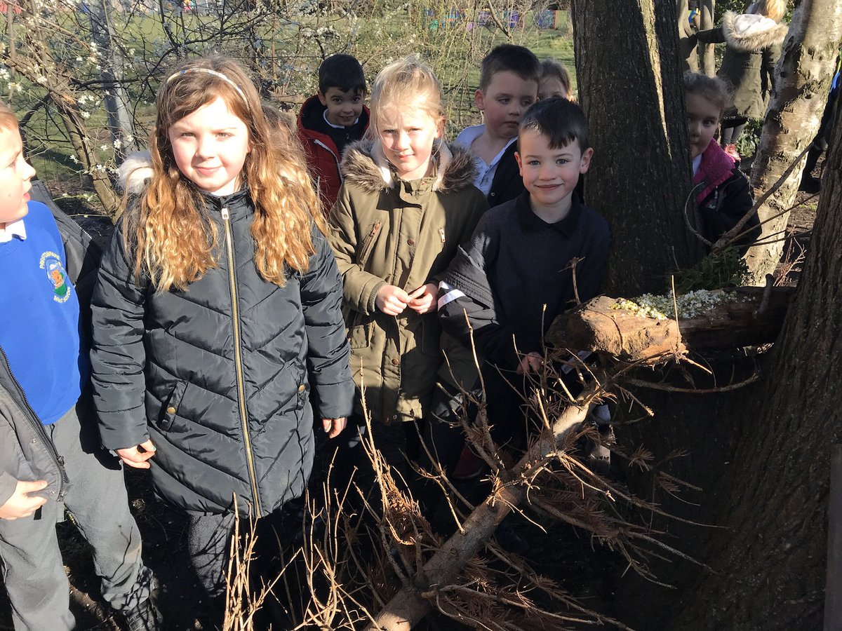 Preston Tower Primary school tweet media