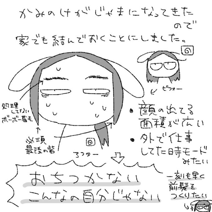 【実録】髪が伸びて邪魔なので常時ポニーテール解禁しました #ノンタンと夫氏の実録 