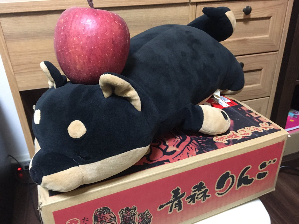 釈迦 ツイッター