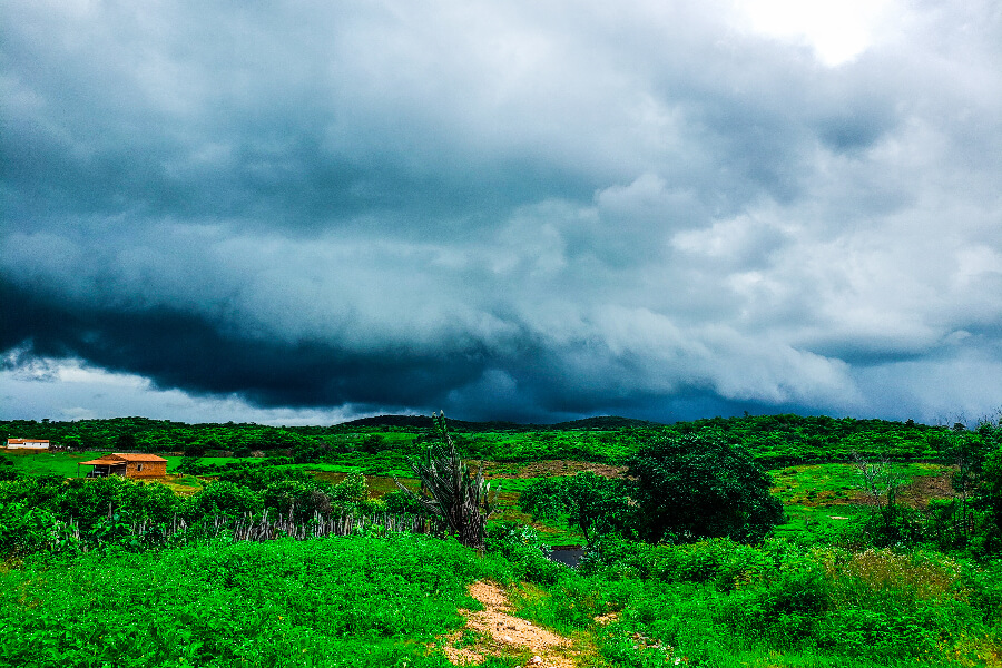 NordesteEco's tweet photo. Níveis de estiagem reduzem no Nordeste, mas situação ainda é crítica | Foto: @Lau_Rabelo_
Leia mais: https://t.co/n1RgdgAiTz
#Alagoas #Castanhão #Ceará #Cogerh #Funceme #MonitordeSecas #Nordeste #Orós #Paraíba #Pernambuco #recursoshídricos #ReservaHídrica #seca #Sergipe https://t.co/mJlBGdIdet