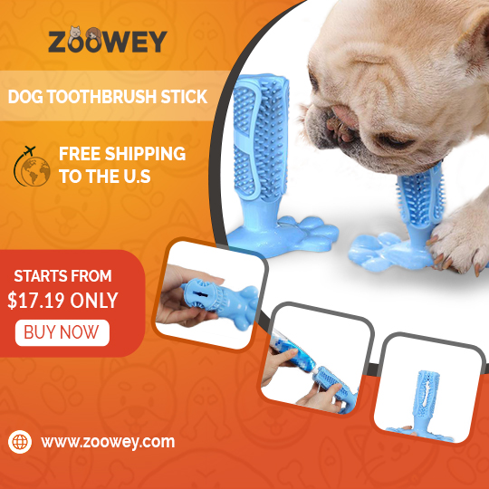 Zooweycom's tweet photo. Free shipping to USA
#Pet
#Pets
#Dog
#Dogs
#Cat
#Cats
#Pet_product
#Pets_products
#Pet_supply 
#Pets_supplies
#Dog_supply 
#Dogs_supplies
#Cat_supply 
#Cats_supplies https://t.co/FrG0YYJ995