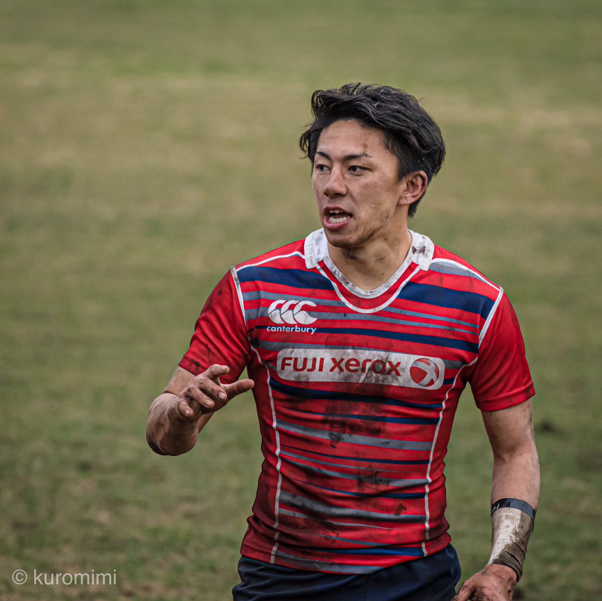 ミニチュア 実際に 宗教 富士 ゼロックス ラグビー Englishaffairs Org