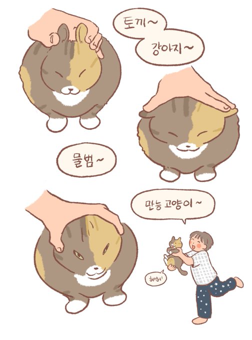 천의 얼굴 고양이~~??? 