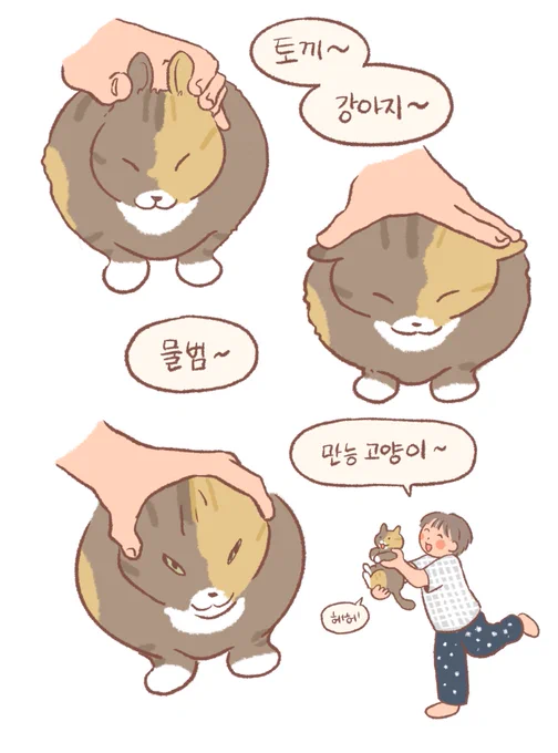 천의 얼굴 고양이~~??? 