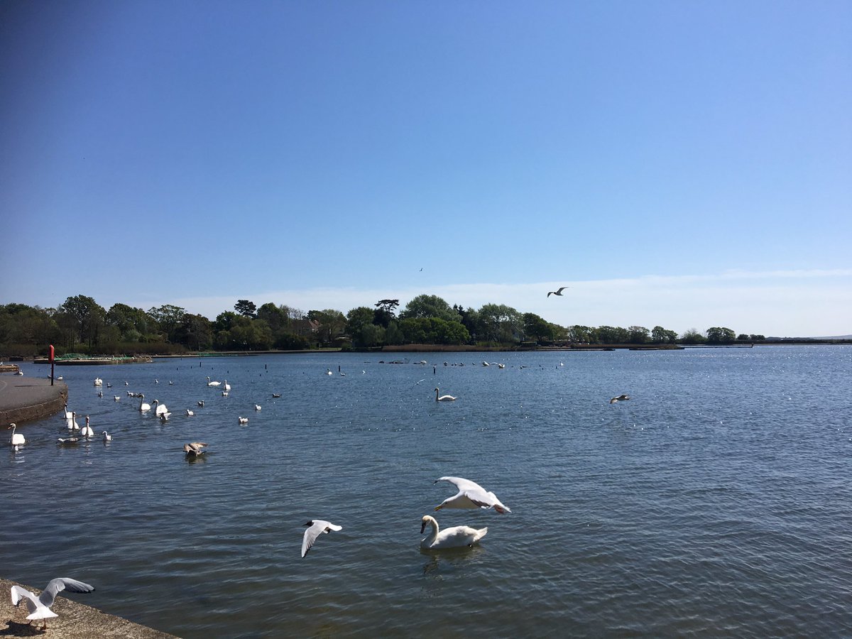 MercedesDryer's tweet photo. Lunch time break in the beautiful sun so lucky to have this so close to @Poole_Hospital #gratitude #nhs #sunshine https://t.co/2PglilKV1F