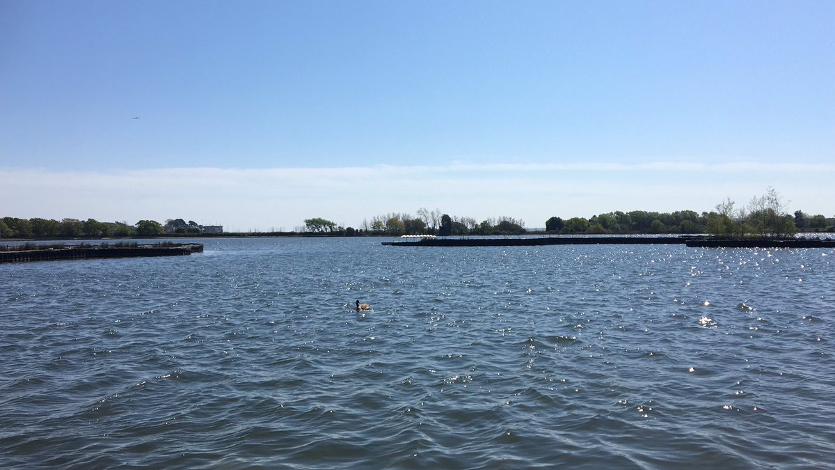 MercedesDryer's tweet photo. Lunch time break in the beautiful sun so lucky to have this so close to @Poole_Hospital #gratitude #nhs #sunshine https://t.co/2PglilKV1F