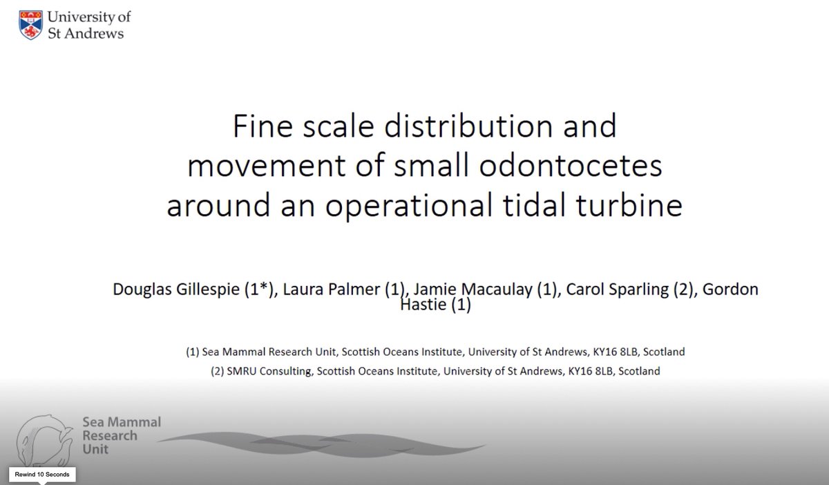_laurapalmer93's tweet photo. We have been working to understand how marine mammals behave around operational tidal turbines @_SMRU_ @SMRU_Consulting! Hear about all the latest in this field here https://t.co/PBopTnFD5E @EIMR2020 #EIMR2020 https://t.co/UQayq8OgOR