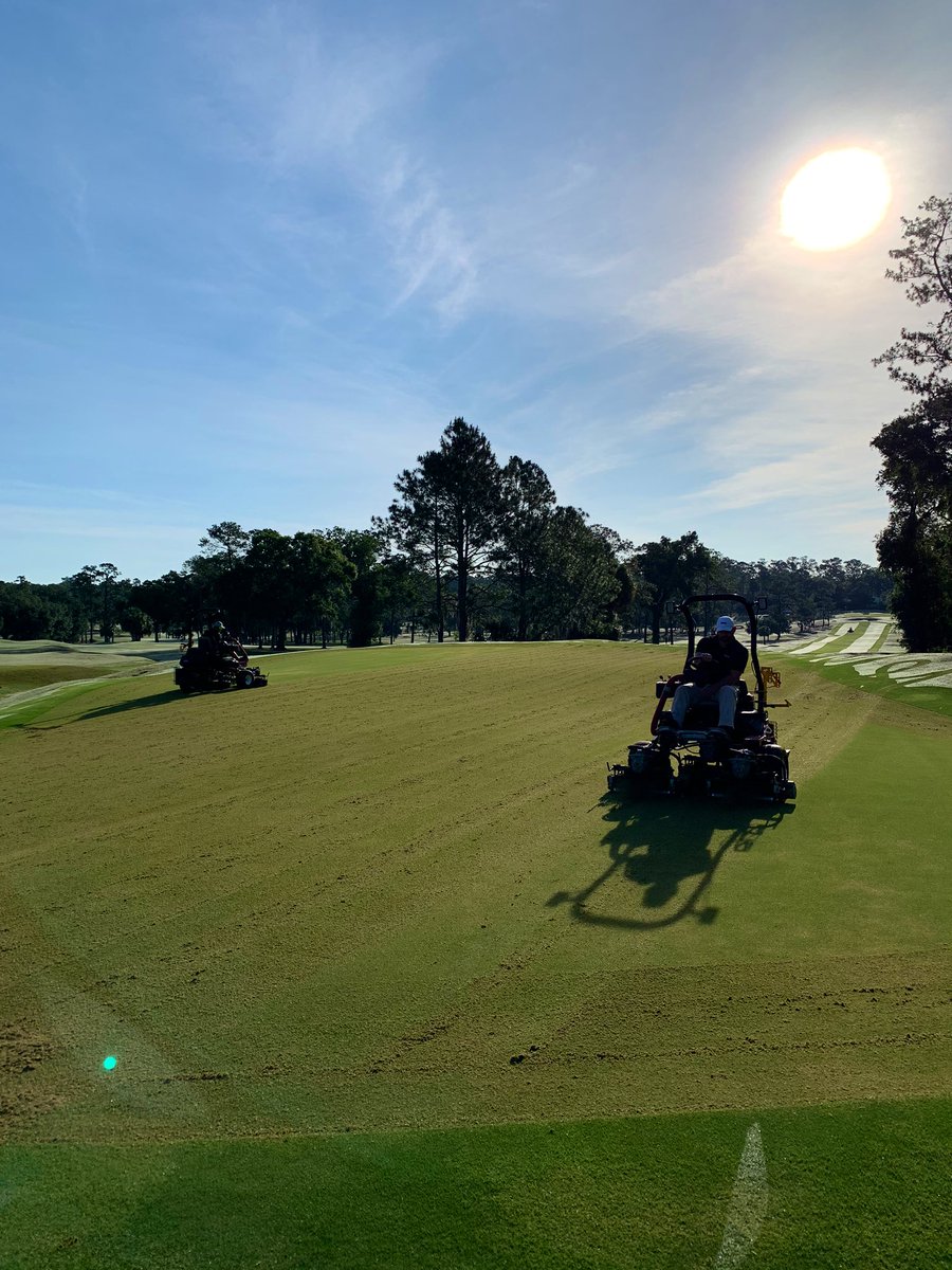 UF Golf Course tweet media