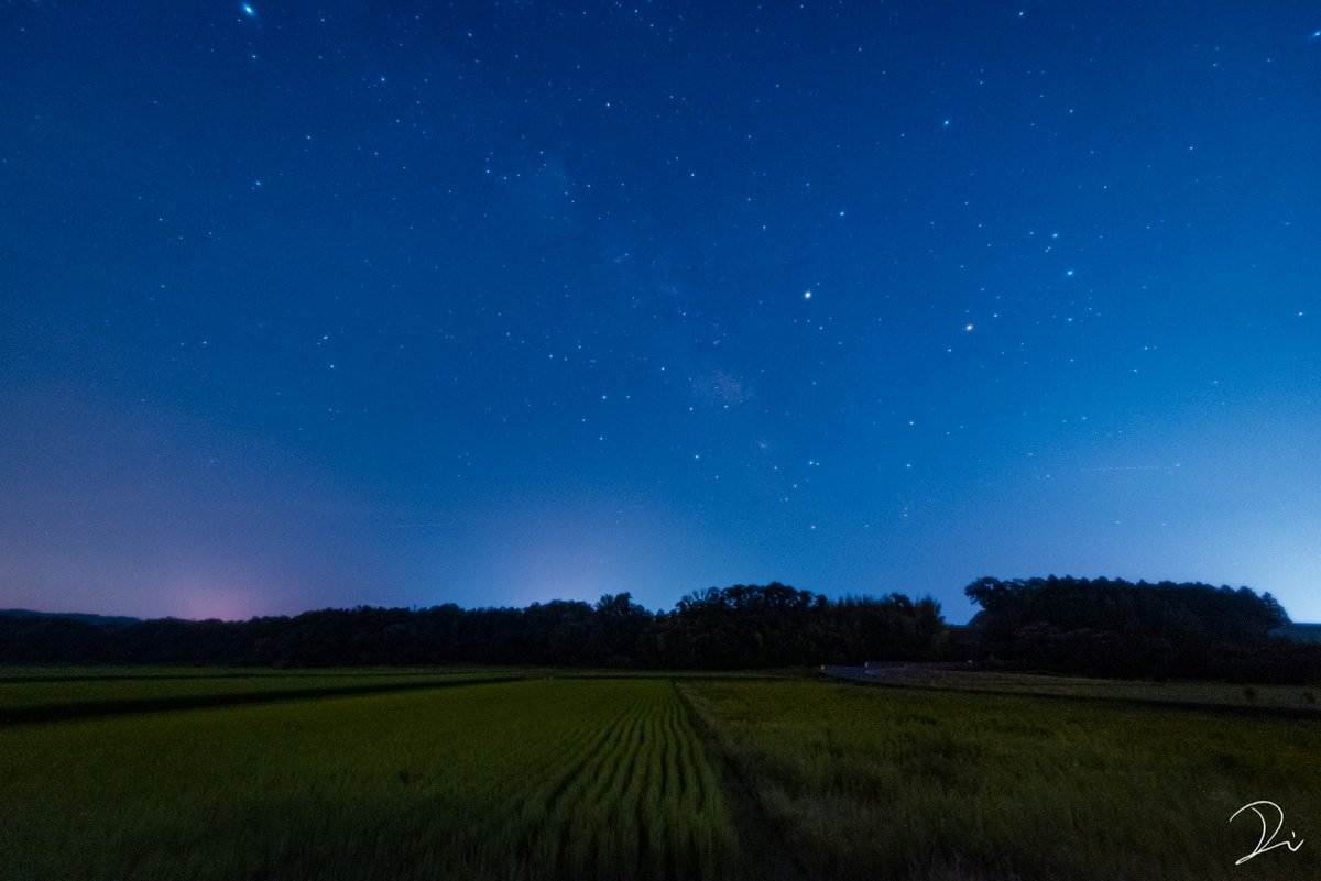 usalica's tweet photo. のどかな場所で、静かな夜空をまったりと見上げたい。 https://t.co/5dh4VGrDV3