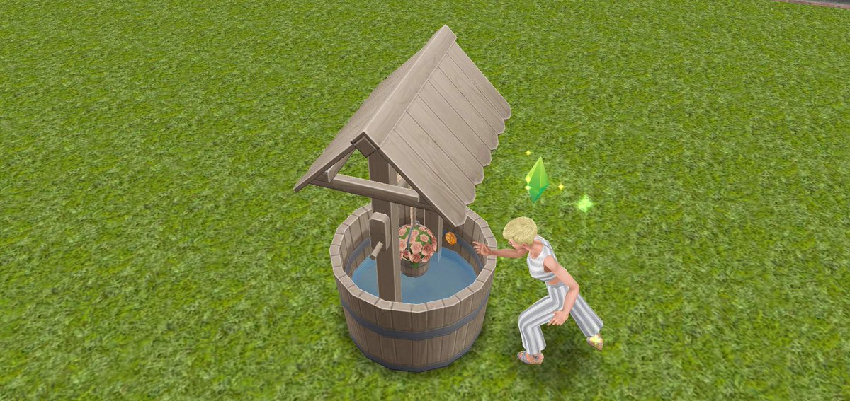 Flat roofs, house boat lots, a lawn mower and wishing wells (my sim is throwing a very large coin in there ;))