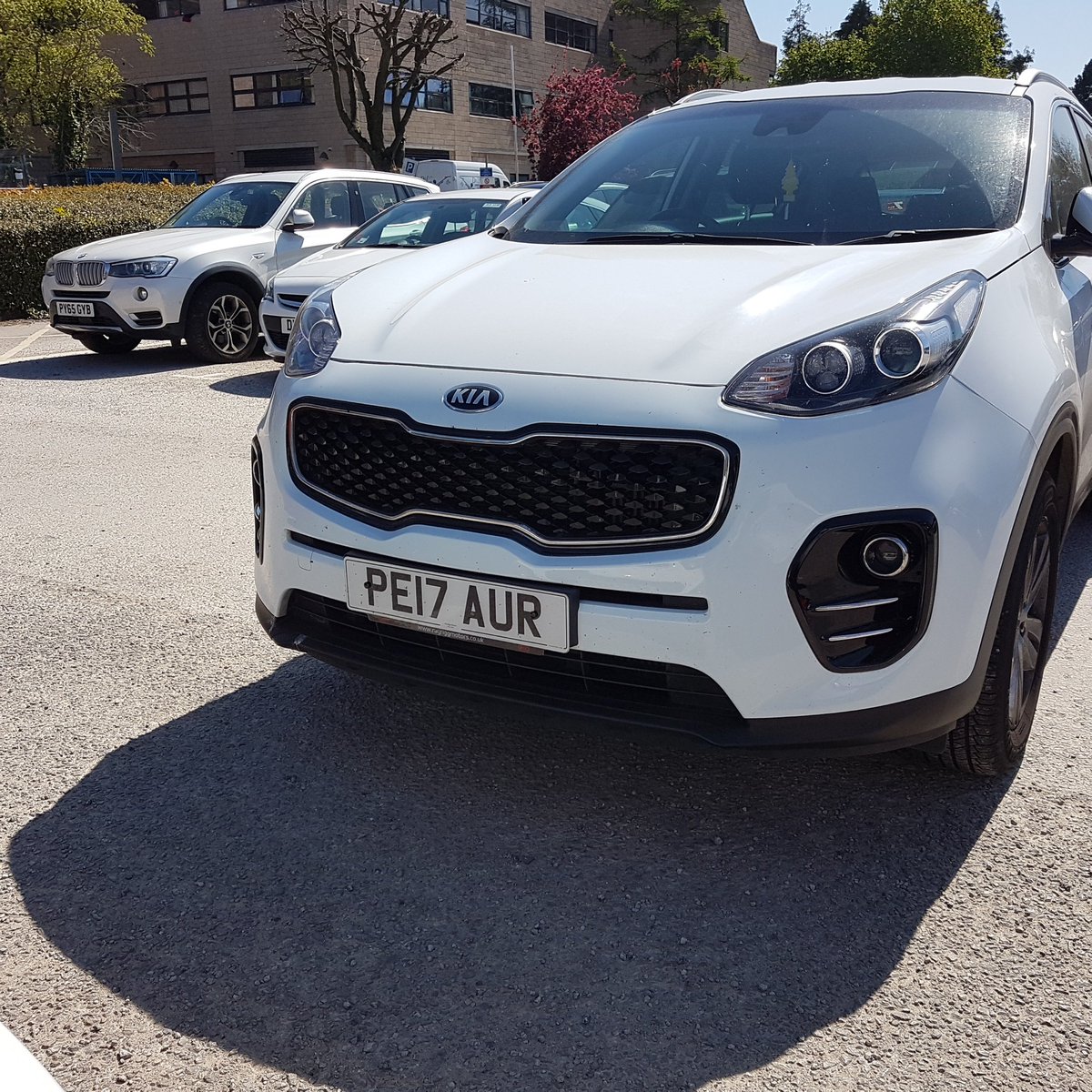 lyn reeder tweet media