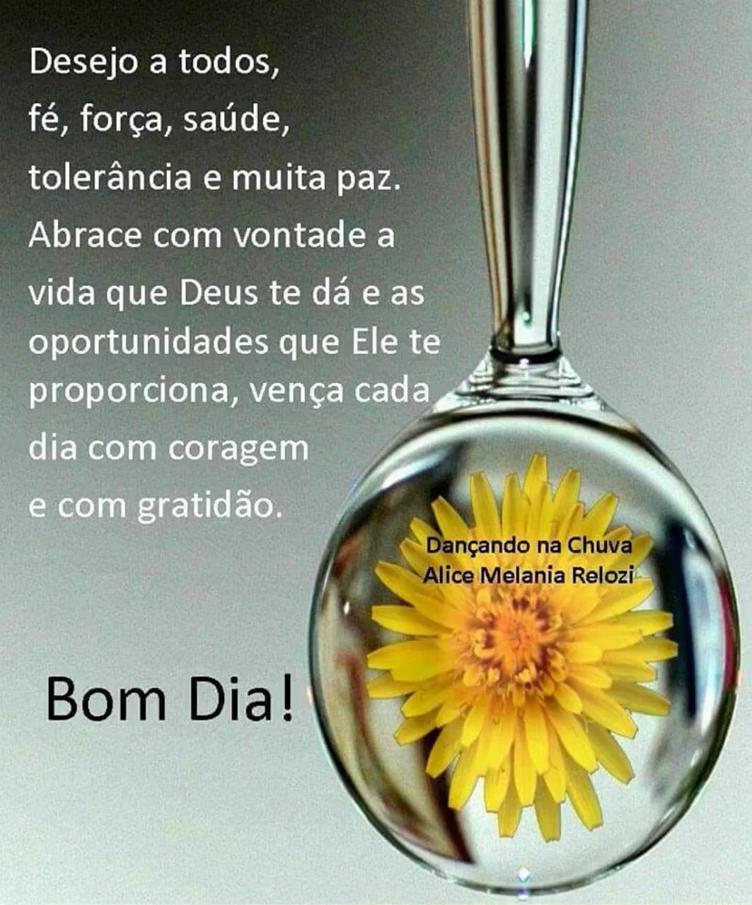 Twitter 上的 Jussara Vieira 🌵🤴❤ TPWK 🐿🍉: Twitter 上的 Jussara Vieira 🌵🤴❤ TPWK 🐿🍉: