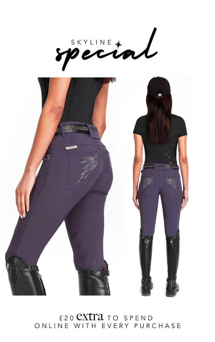 Aztec Diamond Equestrian tweet media