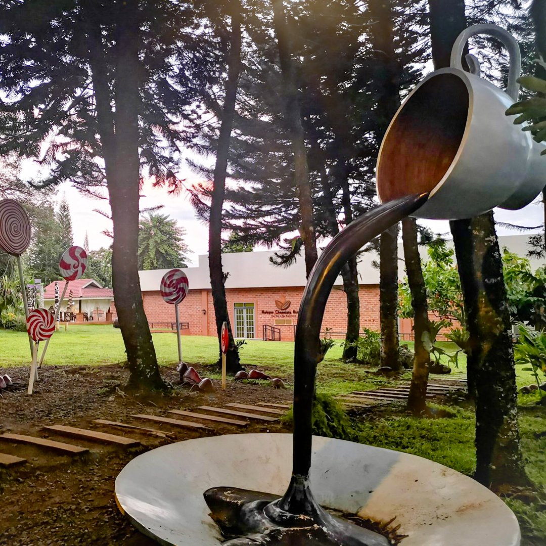 Malagos Chocolate tweet media