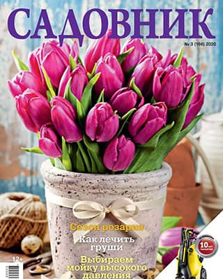 jurnalanet's tweet image. Садовник #3 (2020)
#Садовник, #Садоводство
➣ jurnala.net/sadovnik-3-202…