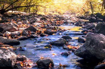 LionTechnology's tweet photo. Final Rule Alert! US EPA's new Navigable Waters Protection Rule to re-define Waters of the United States (#WOTUS) hit the Federal Register today. The Final Rule takes effect on June 22, 2020. 

Details here: https://t.co/PzhGj00PqH https://t.co/zpQ37866Mf