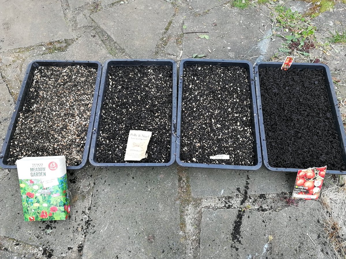 Hannah Fletcher tweet media