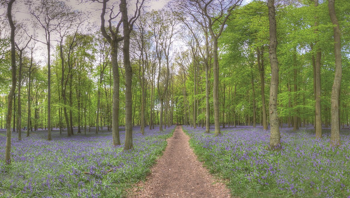 Spring is here, Summer is coming and before long normality will resume. Dacorum has a huge range of great places to visit and as soon as they are open again, we'll keep you updated about special offers and events. Until then #stayhomesavelives  #enjoydacorum