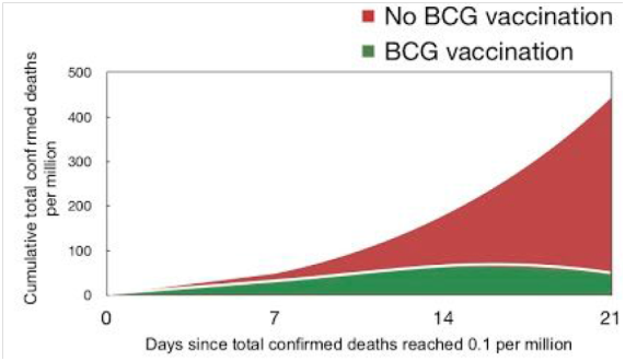Muitos autores publicaram essa associação entre populações que recebem a BCG com uma menor mortalidade ao Covid-19. Associação não é causalidade! Mas as evidências são mais que suficientes para se levantar essa hipótese que merece ser testada.  https://doi.org/10.1101/2020.04.10.20060905