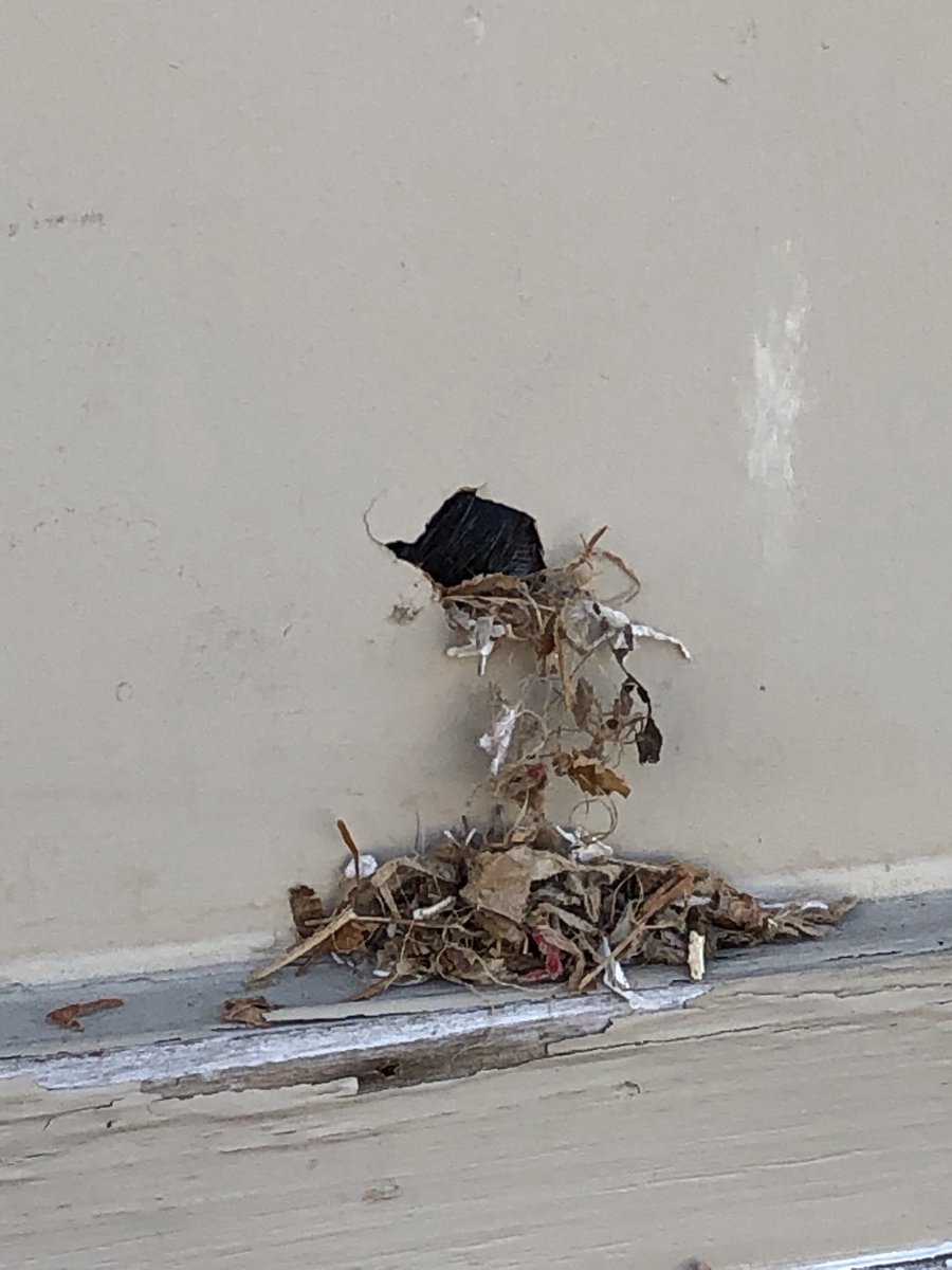 SirWinstonChurchillPS tweet media