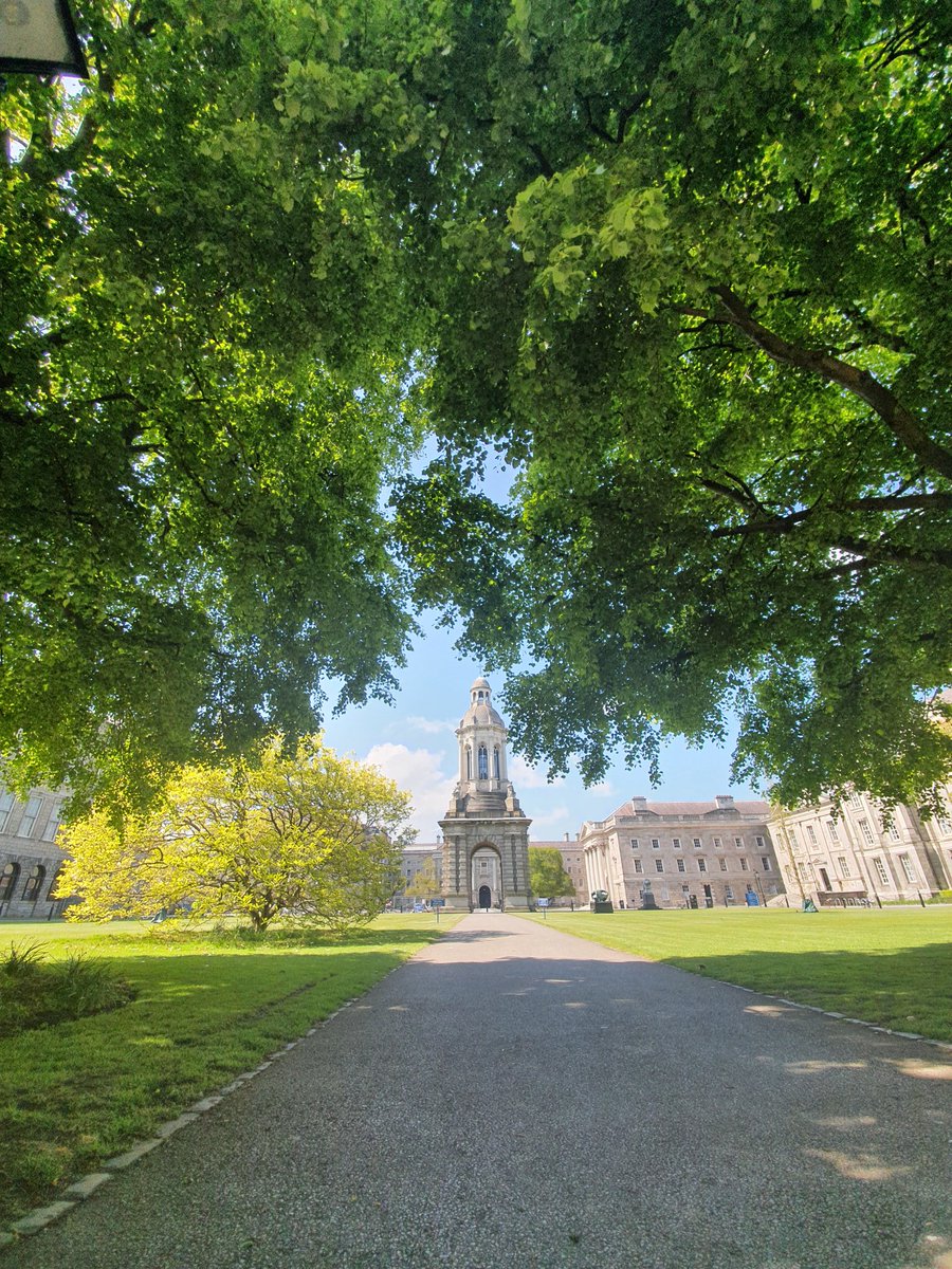 JonathanFitzEV's tweet image. Campus looking stunning in the sunlight! @tcddublin @DiscoverIreland @TourismIreland #tcddublin #trinityweek #trinitycollegedublin #estatesandfacilities