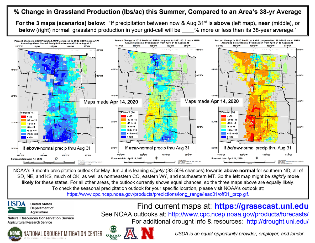 Dr. Dannele Peck tweet media