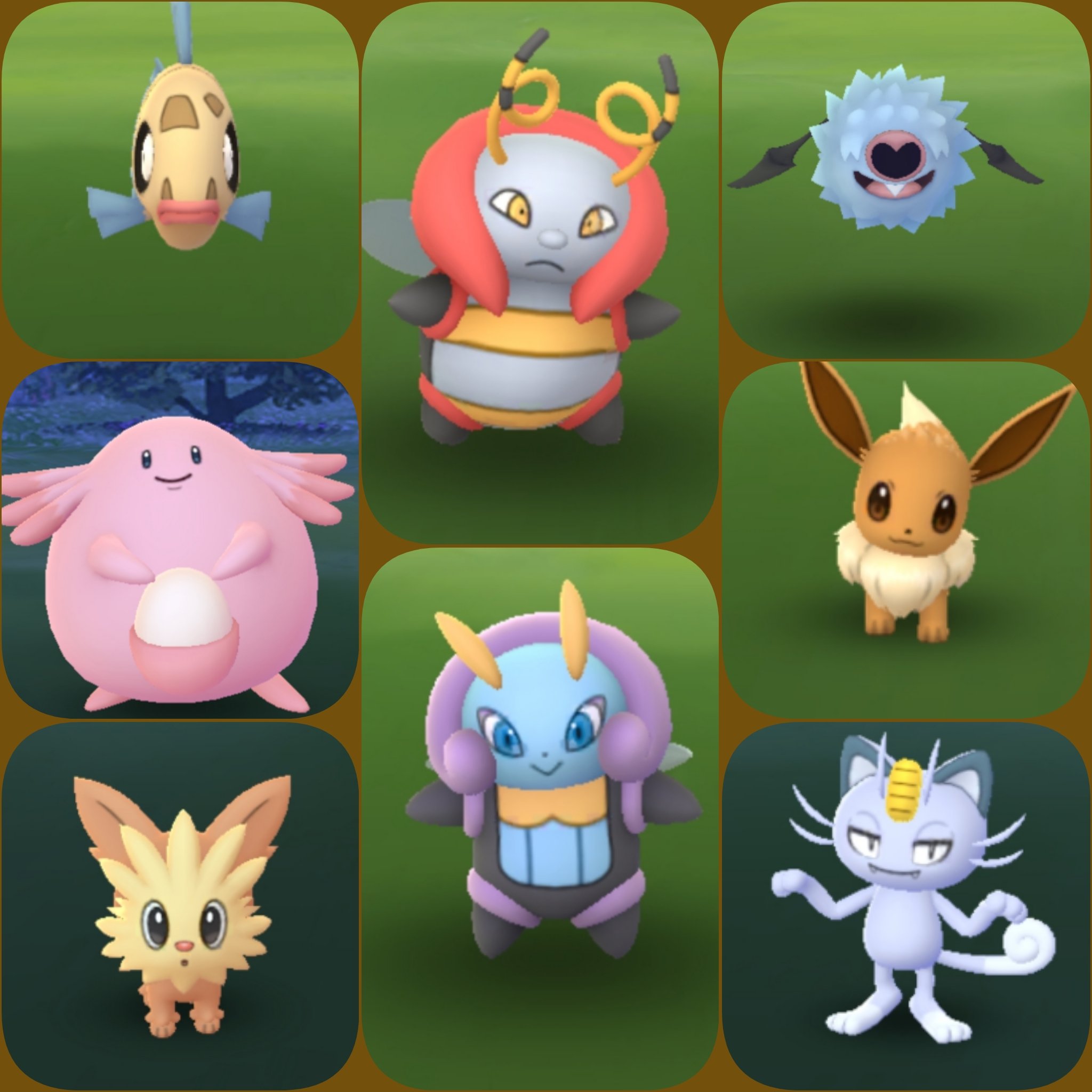 تويتر Amazinghisa على تويتر 今日のポケモンgo活動1 相棒アップウィーク初日 野生のイルミーゼと初遭遇 すでに交換で登録済み ポケモンgo 相棒イベント バルビート イルミーゼ T Co Mj5fsgyk2o تويتر Amazinghisa على تويتر 今日のポケモンgo活動1 相棒アップウィーク初日 野生のイルミーゼと初遭遇 すでに交換で登録済み ポケモンgo 相棒イベント バルビート イルミーゼ T Co Mj5fsgyk2o
