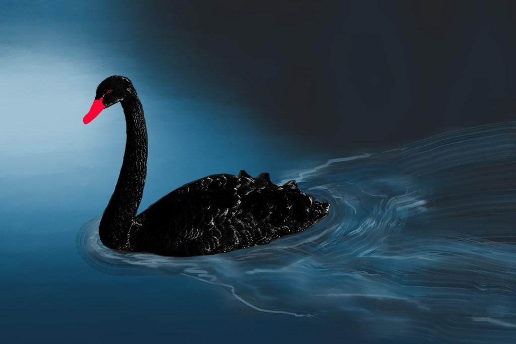 manajementicom's tweet photo. COVID-19 dan Angsa Hitam
#blackswan #angsahitam #covid19 #fallacy https://t.co/uaWpx9ArPi https://t.co/za9N6pTeIx