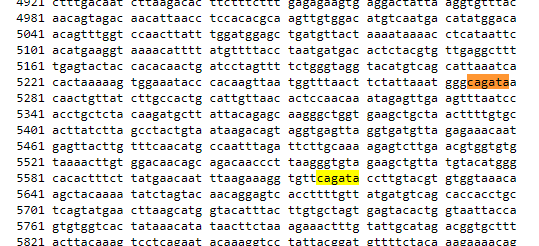 Salvo Di Grazia tweet media