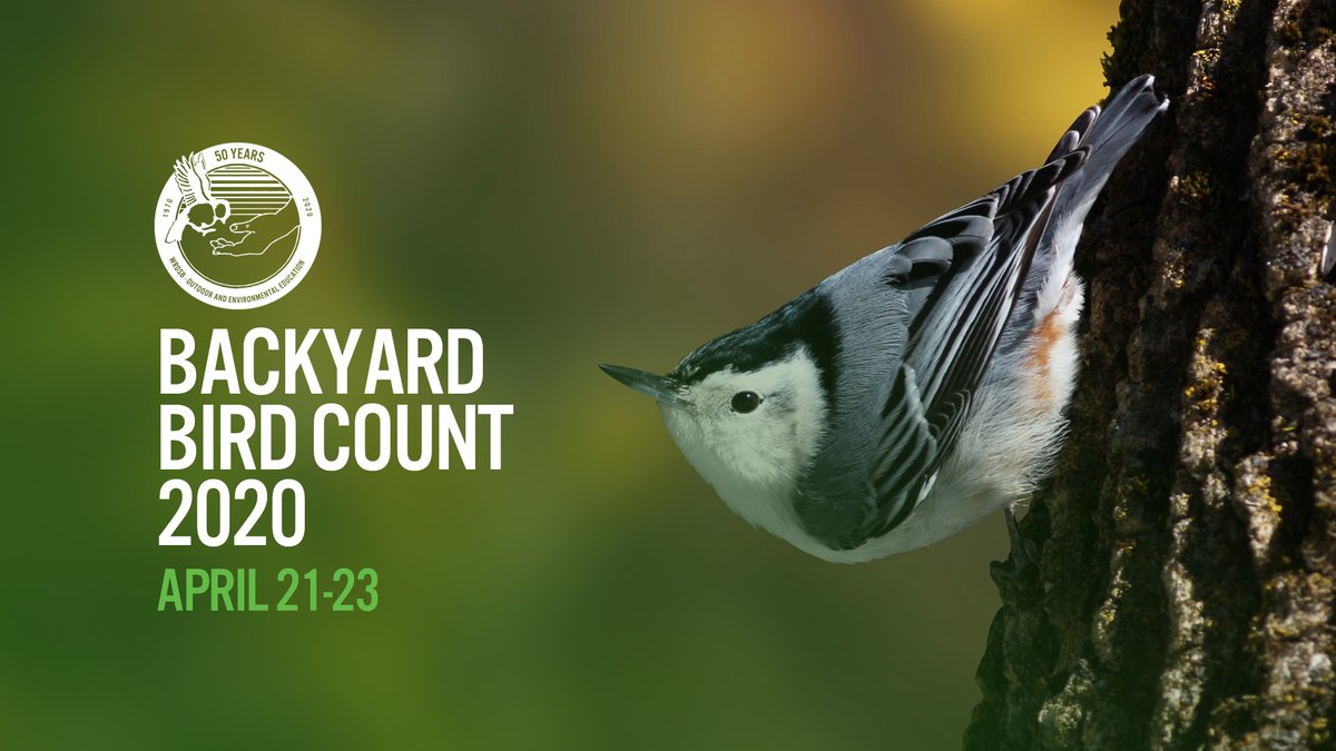 Learning Library Learning Commons