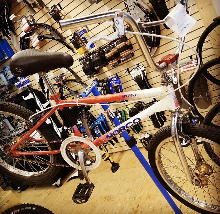 LongBranchTO 🚲 tweet media