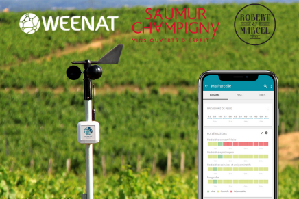 Découvrez le nouveau réseau de #météo connectée du vignoble <a href="/Saumur_Champ/">Saumur-Champigny, Vins Ouverts d'Esprit</a> &amp; de la cave Robert et Marcel 🍇🍷
97 capteurs agro-météo au service de 60 vignerons et d'une #viticulture toujours plus précise, collaborative et #durable 👨‍🌾
Plus d'infos : bit.ly/2XBZcqt