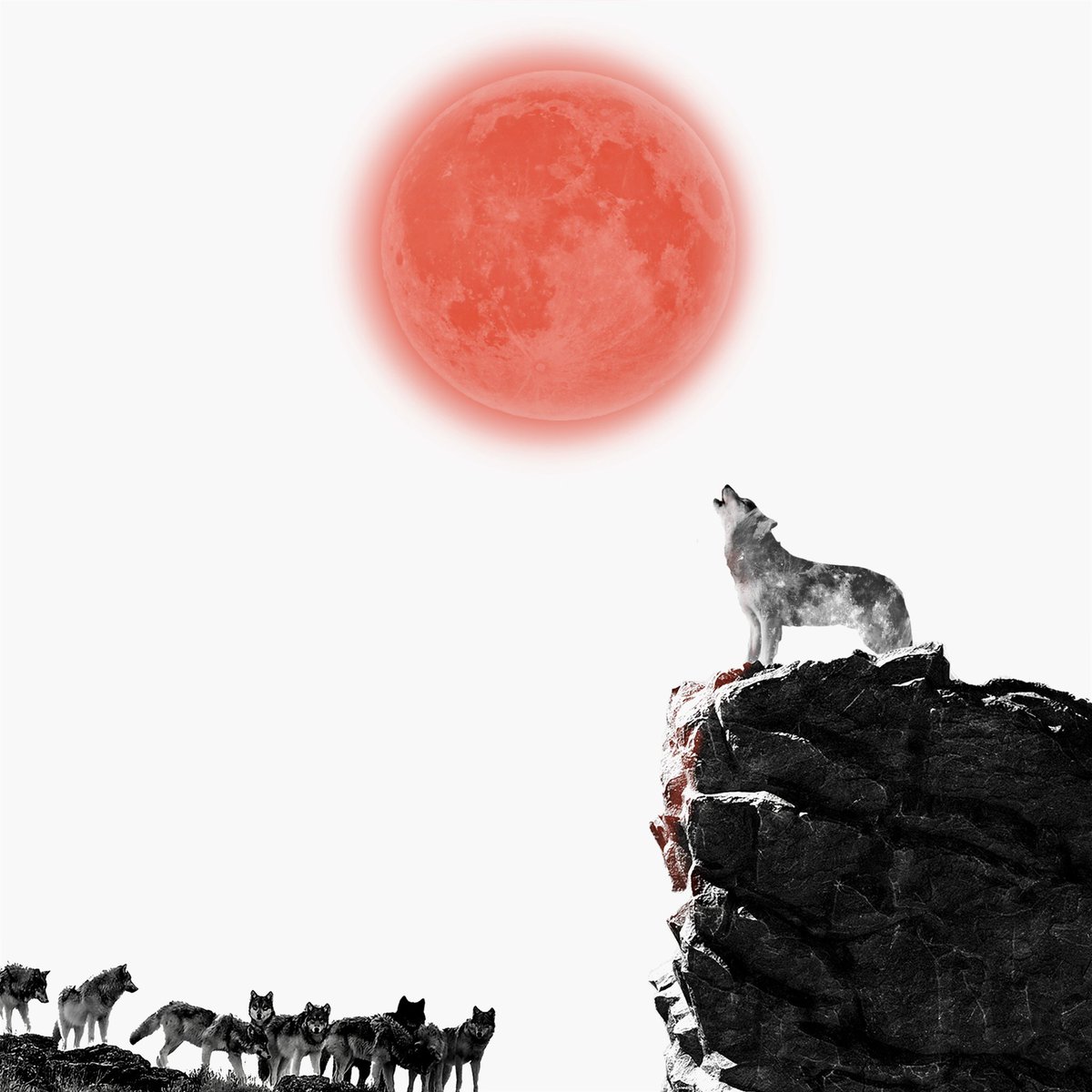 jahlanio's tweet photo. “The Lone Wolf 🇯🇵”
This is the digital piece I was randomly designing on IG Live the other day. Decided to showcase after all. 🤷🏾♂️ #LavaDesignHouse
https://t.co/X8vJ3ymJt0 https://t.co/ZhmdflnCfx