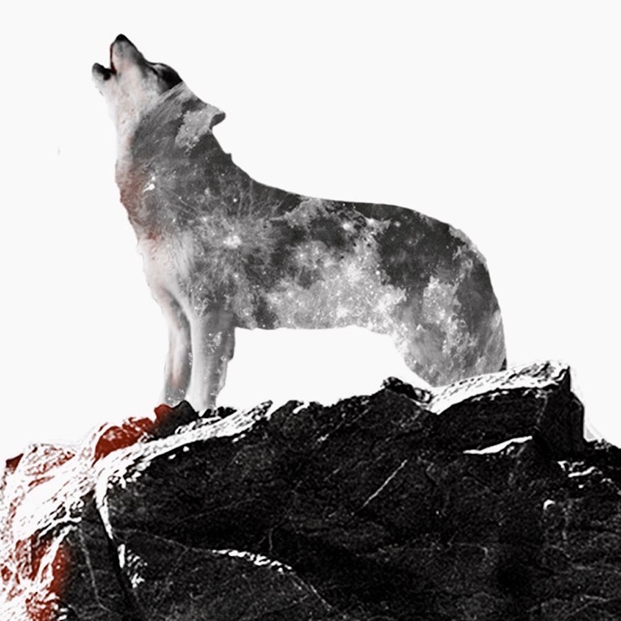 jahlanio's tweet photo. “The Lone Wolf 🇯🇵”
This is the digital piece I was randomly designing on IG Live the other day. Decided to showcase after all. 🤷🏾♂️ #LavaDesignHouse
https://t.co/X8vJ3ymJt0 https://t.co/ZhmdflnCfx