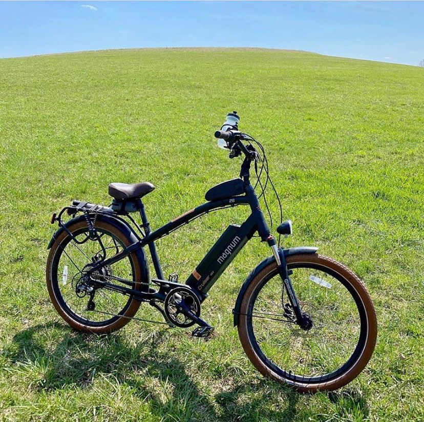 go green ebikes