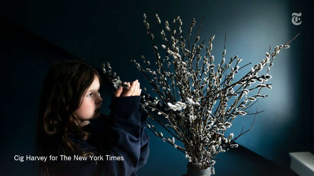 To find joy in the gray weeks of early April in Rockport, Maine, Cig Harvey brought spring greenery indoors, “Enlisting an army of flowers around me.” “Planting seeds is like living with your fingers crossed, an act of hope,” she writes.  https://nyti.ms/2KotJAg 