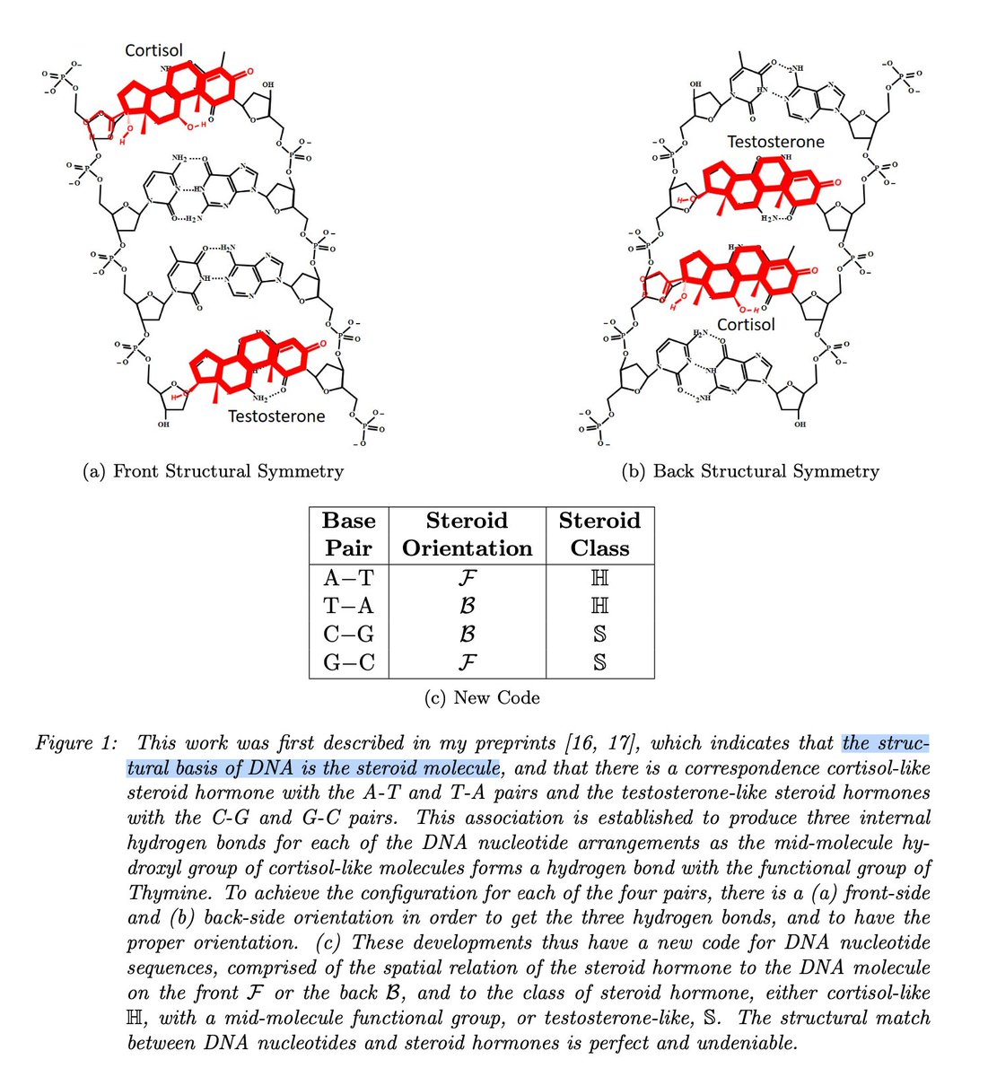 According to latest preprints, not only is everyone an epidemiologist but also a biochemist and computational chemist.“The structural basis of DNA is the steroid molecule”, if you draw it in red with a thick enough pen