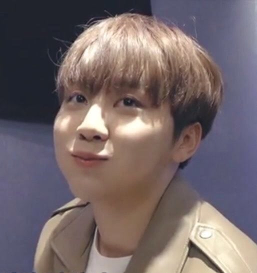 seungkwan’s cheekies : a thread