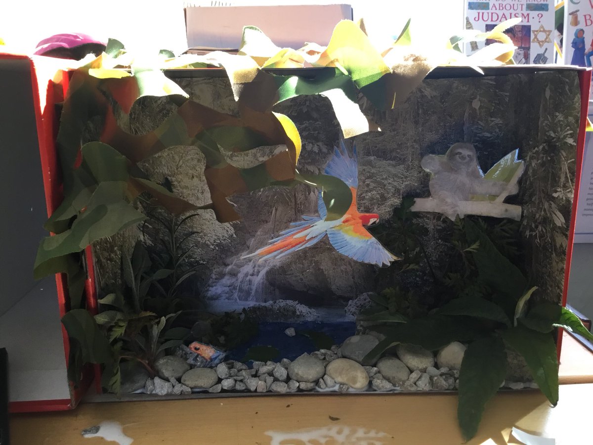 PrincethorpeJun's tweet photo. Our children have been working hard on their Around The World topic. Today, they have created some wonderful 3D biomes. Take a look at their handiwork: https://t.co/LX2WWowYh7