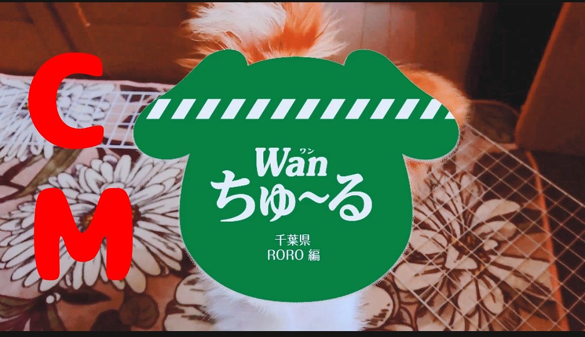 こんばんわ🍀明日は晴れるみたいですね☀️(ノ´∀｀*)

【Wanちゅーる】愛犬バージョンです
youtu.be/Ayodawp7rKY