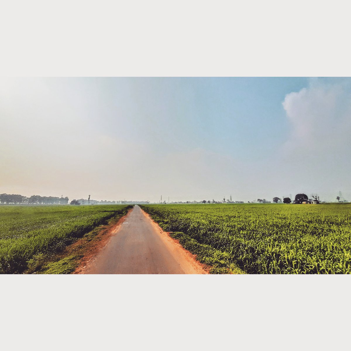 Arjaneon's tweet photo. “Solitude was my only consolation – deep, dark, deathlike solitude.” .
.
.
#naturephotography #photography #hdr #dslr #camera #tgif #tree #alone #solitude #quotes #love #like #like4likes #likeforlikes #happy #me #life https://t.co/kmTffAmBKf
