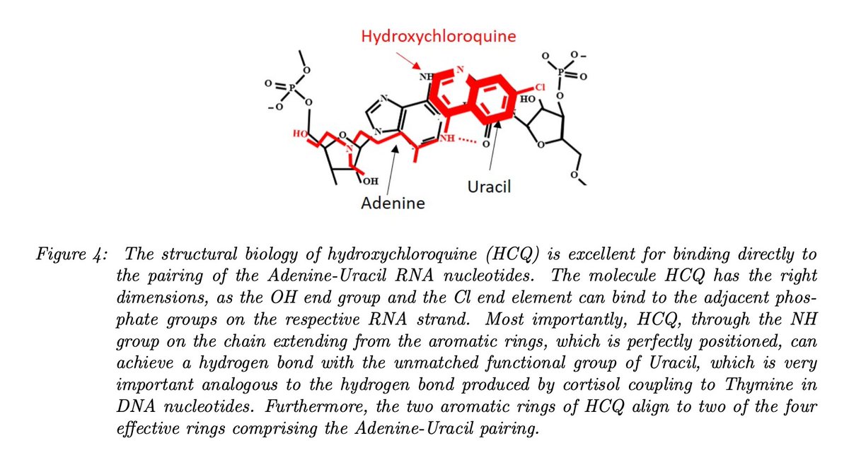 If you draw even thicker, you can CLEARLY recognise hydroxychloroquine.“Computational Methods: a red marker.”