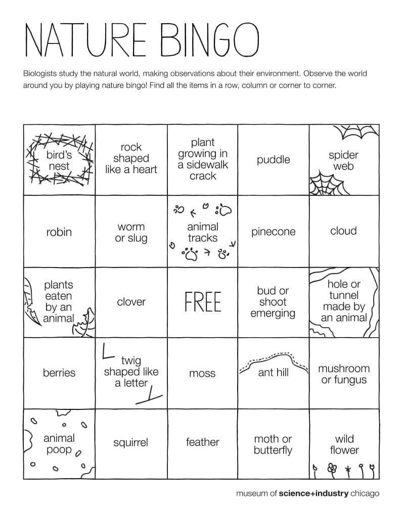 Today is great day to go outside and enjoy some nature <a href="/D45Stevenson/">Stevenson School</a> and <a href="/D45YorkCenter/">York Center School</a>! See if you can find all these things on a nature BINGO scavenger hunt! Have fun!