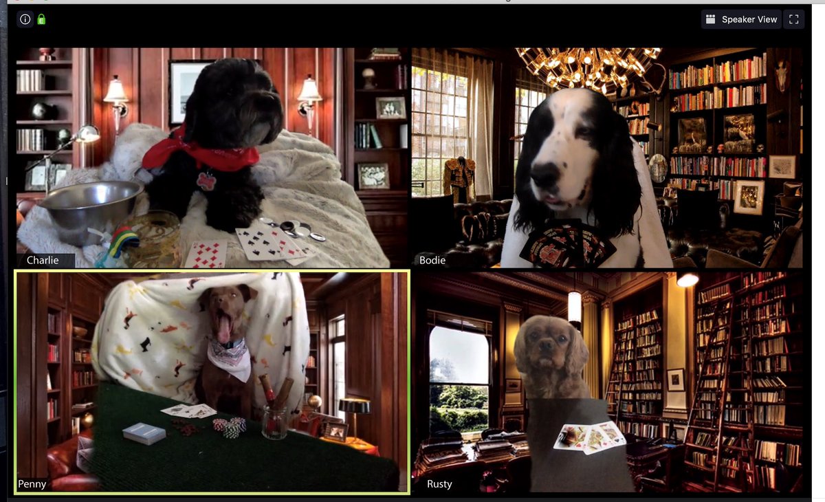 Recreating famous “Dogs Playing Poker” painting, but now over Zoom during quarantine.