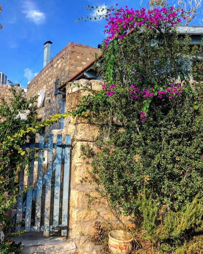 وكالة شهاب للأنباء tweet media