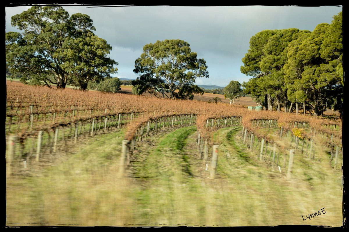 LynneM2009's tweet image. Hate the fact that we can&apos;t travel. One day soon. #soultravel #tourismboost #helptheeconomy but atm #stayhome